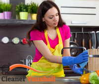 domestic_cleaning