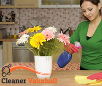 domestic_cleaning1