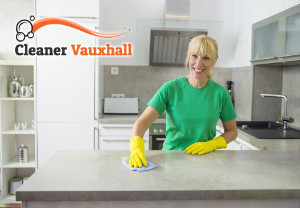 Professional Cleaning Services