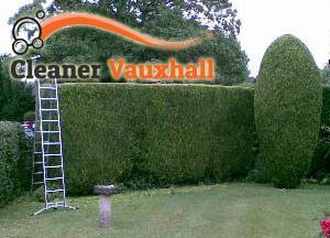 Hedge Maintenance SW8